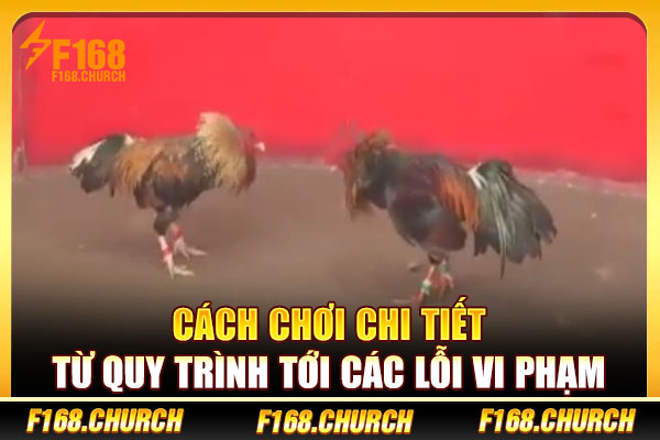 Cách chơi chi tiết từ quy trình tới các lỗi vi phạm