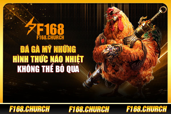 Đá Gà Mỹ - Những Hình Thức Náo Nhiệt Không Thể Bỏ Qua