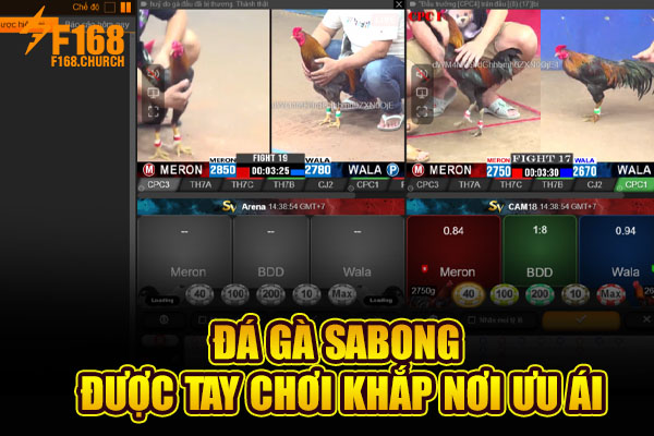 Đá gà sabong được tay chơi khắp nơi ưu ái