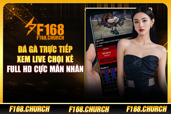 Đá Gà Trực Tiếp - Xem Live Chọi Kê Full HD Cực Mãn Nhãn