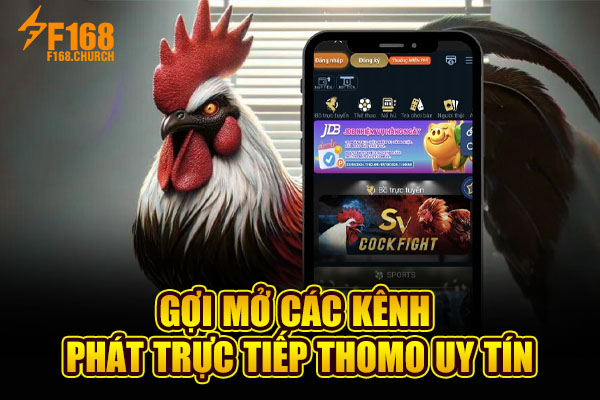 Gợi mở các kênh phát trực tiếp Thomo uy tín