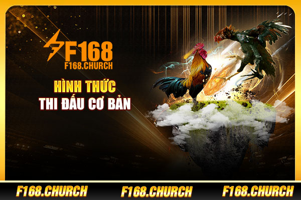 Hình thức thi đấu cơ bản