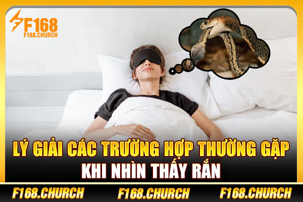 Lý giải các trường hợp thường gặp khi nhìn thấy rắn