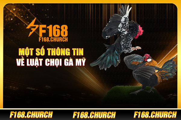 Một số thông tin về luật chọi gà Mỹ