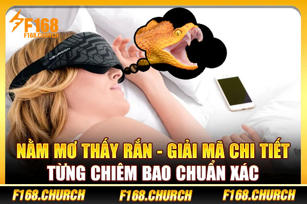 Nằm Mơ Thấy Rắn - Giải Mã Chi Tiết Từng Chiêm Bao Chuẩn Xác