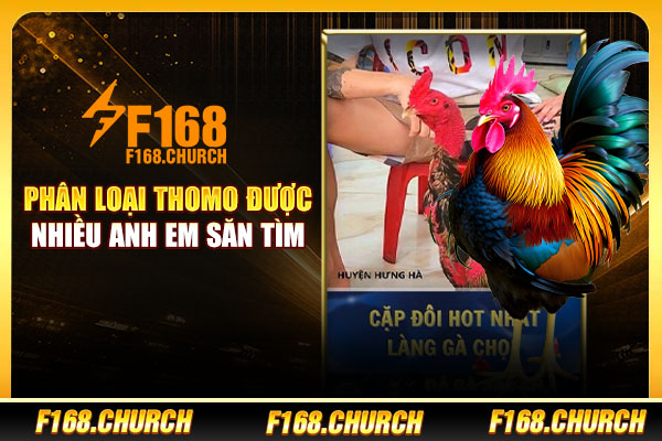 Phân loại Thomo được nhiều anh em săn tìm Phân loại Thomo được nhiều anh em săn tìm